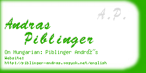 andras piblinger business card